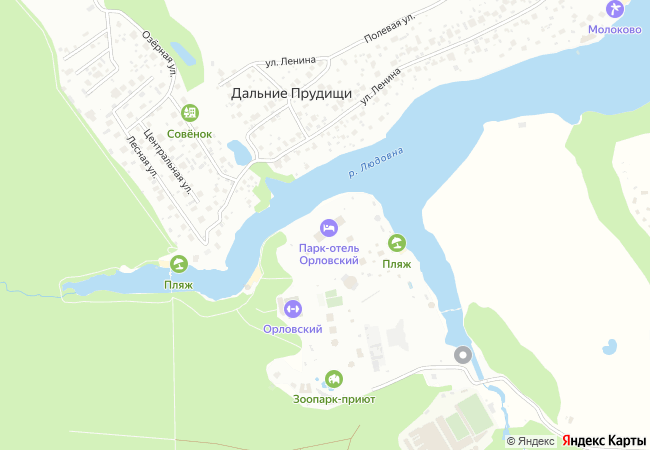 Карта района Орловского проезда в Московской области